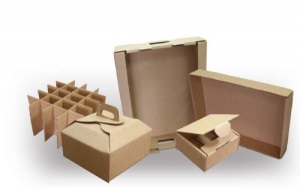 Автоматическая машина для упаковки в картонные коробки